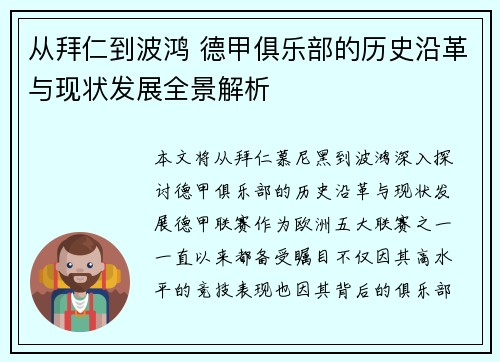 从拜仁到波鸿 德甲俱乐部的历史沿革与现状发展全景解析