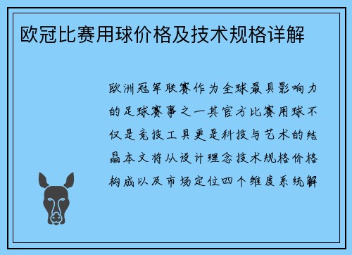 欧冠比赛用球价格及技术规格详解