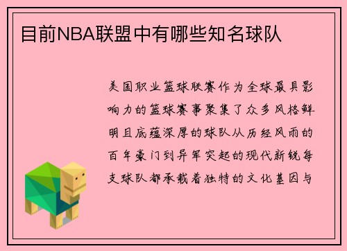 目前NBA联盟中有哪些知名球队